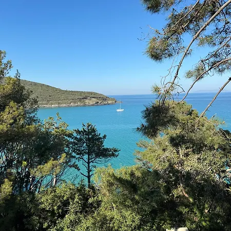 E Di Misincu Villa Cagnano
